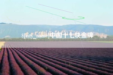 博兴中国十七块金牌