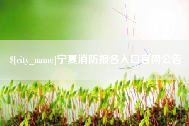 博兴宁夏消防报名入口官网公告