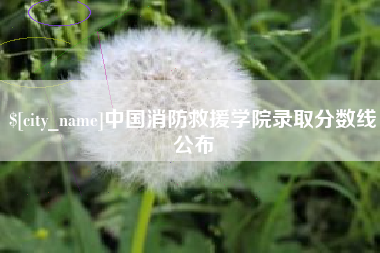 博兴中国消防救援学院录取分数线公布