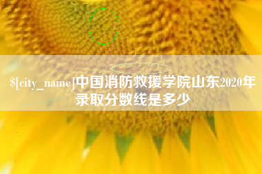 博兴中国消防救援学院山东2020年录取分数线是多少