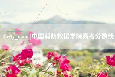 博兴中国消防救援学院高考分数线