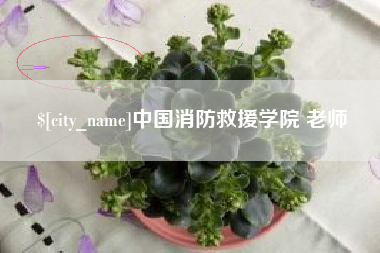 博兴中国消防救援学院 老师