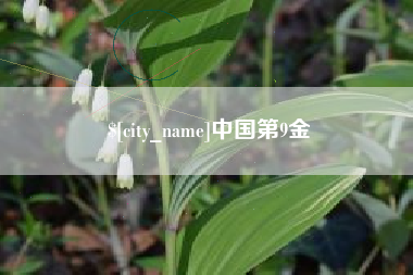 博兴中国第9金