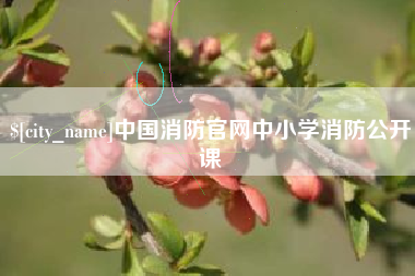 博兴中国消防官网中小学消防公开课