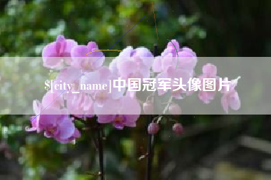 博兴中国冠军头像图片