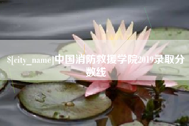 博兴中国消防救援学院2019录取分数线