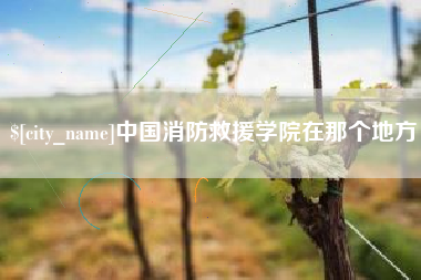 博兴中国消防救援学院在那个地方