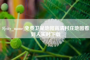博兴免费卫星地图高清村庄地图看到人实时下载