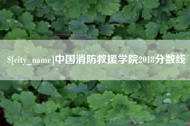 博兴中国消防救援学院2018分数线