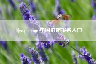博兴中国消防报名入口