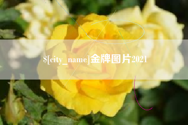 博兴金牌图片2021