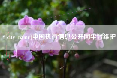 博兴中国执行信息公开网平台维护