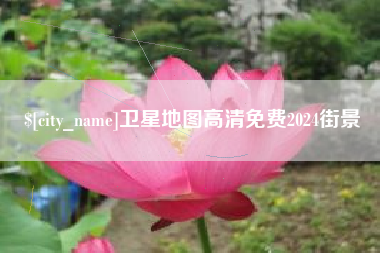博兴卫星地图高清免费2024街景