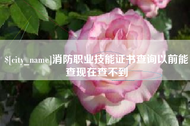 博兴消防职业技能证书查询以前能查现在查不到