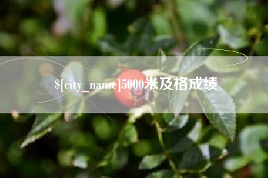 博兴5000米及格成绩