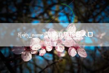 博兴国家消防报名入口