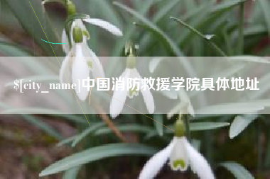 博兴中国消防救援学院具体地址