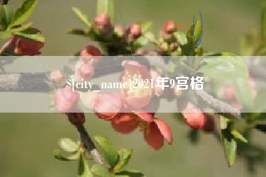 博兴2021年9宫格