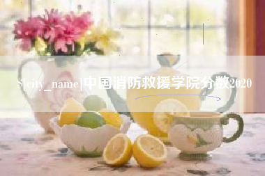 博兴中国消防救援学院分数2020