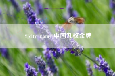 博兴中国九枚金牌