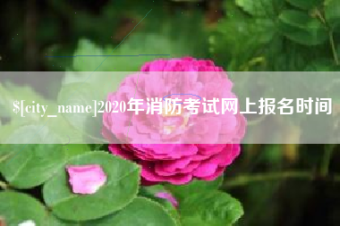 博兴2020年消防考试网上报名时间
