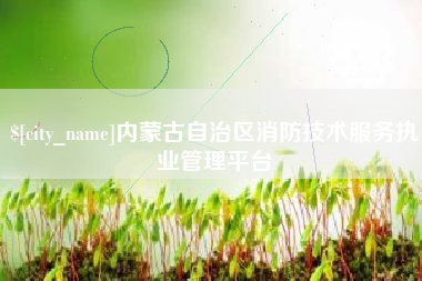 博兴内蒙古自治区消防技术服务执业管理平台