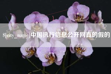博兴中国执行信息公开网真的假的