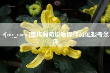 博兴重庆消防设施操作员证报考条件