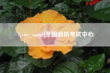 博兴全国消防考试中心