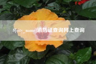 博兴消防证查询网上查询