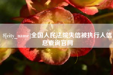 博兴全国人民法院失信被执行人信息查询官网