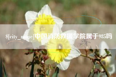 博兴中国消防救援学院属于985吗