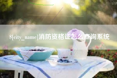 博兴消防资格证怎么查询系统