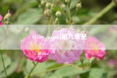 博兴第九金是