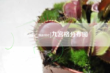 博兴九宫格分布图