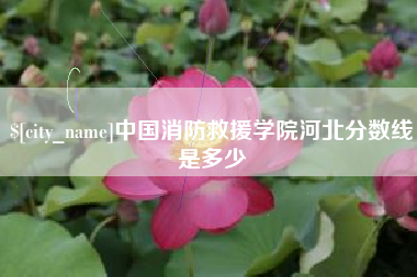 博兴中国消防救援学院河北分数线是多少