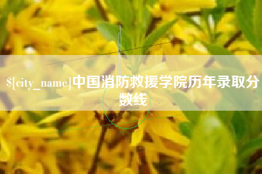 博兴中国消防救援学院历年录取分数线