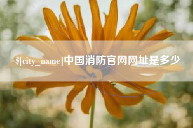 博兴中国消防官网网址是多少
