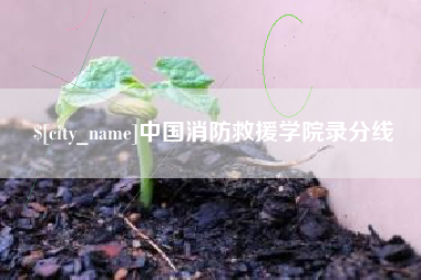 博兴中国消防救援学院录分线