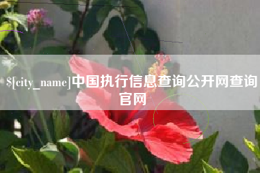博兴中国执行信息查询公开网查询官网
