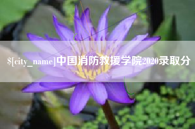 博兴中国消防救援学院2020录取分