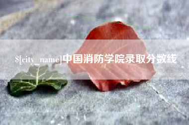 博兴中国消防学院录取分数线