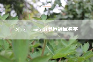 博兴2024奥运冠军名字