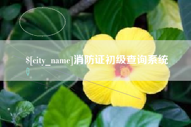 博兴消防证初级查询系统