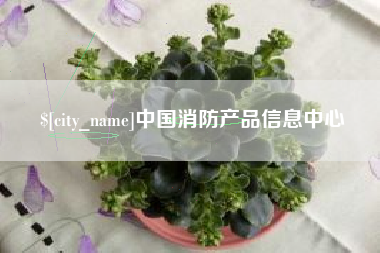 博兴中国消防产品信息中心