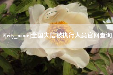 博兴全国失信被执行人员官网查询