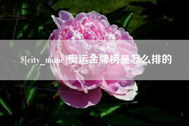 博兴奥运金牌榜是怎么排的