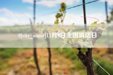 博兴11月9日全国消防日