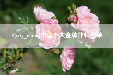 博兴中国十大金牌律师名单