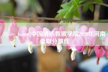 博兴中国消防救援学院2020年河南录取分数线